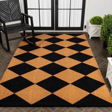 Paige Modern Classic Diamond-patterned Coir Area Rug